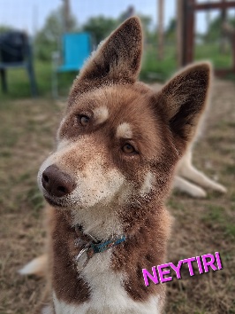 Neytiri